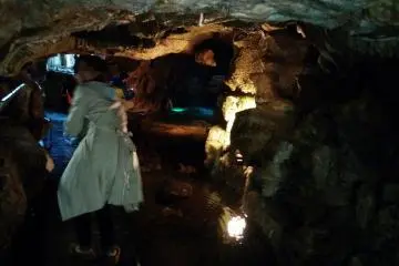 A small stream inside the explorer course