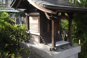 Gallery image