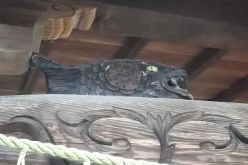 The fish on the other side