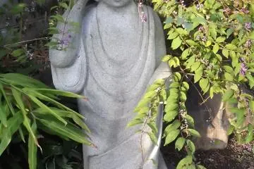 Skulking in the shrubbery