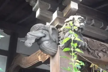 More guardians up in the eaves