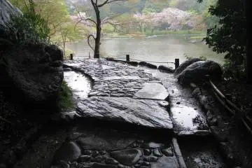 A stones path is more visual in rain