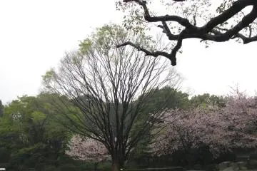 Spring time is awesome...