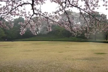 Beautiful colors!