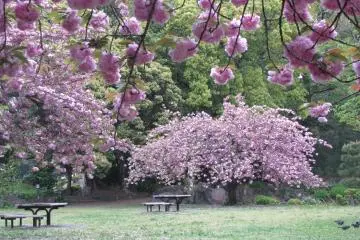 Amazing beauty!