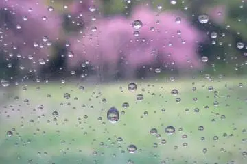 Through my umbrella