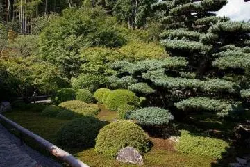 The temple's gardens are well kept and very beautiful.