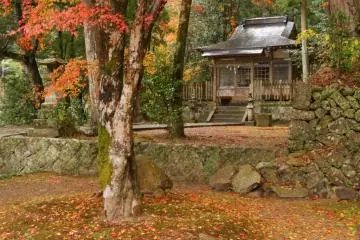 Takijiri-oji-Gateway of the Nakahechi-in Autumn