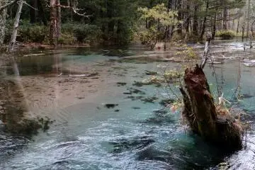 The waters have a tint of turquoise