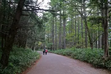Most of the tracks are suitable for beginners