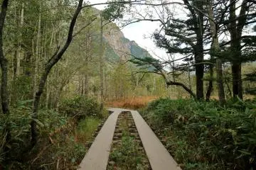 Elevated walkways allow visitors to explore the area without much disturbance to the natural surroundings