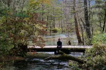 Walking through the forest will make you realise how small we are