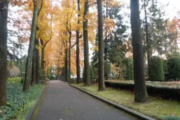 Lounging on a bench or strolling under tall trees offers respite from concrete and traffic