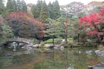 Japanese bridge