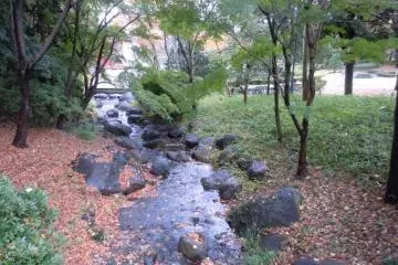 Kids and adults alike can enjoy crossing creeks stepping from stone to stone