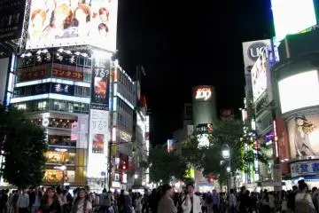 시부야의 밤