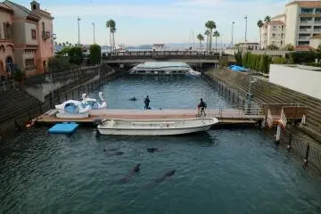 Keep your eyes out for dolphins!