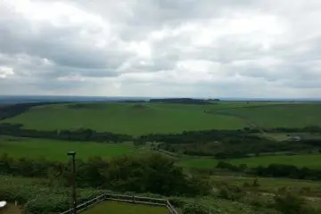 Amazing Green Vastland