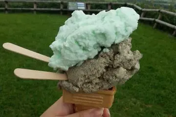 Shiretoko Salt and Houjicha Gelato