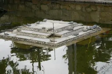 Turtles