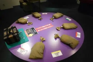 Interactive activities 