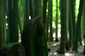 Silent jizo statue standing in the bamboo grove