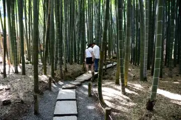 Walk on stone steps hand in hand