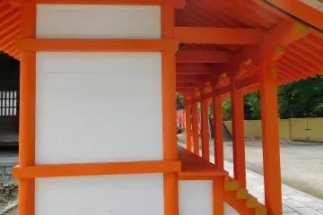 Side view