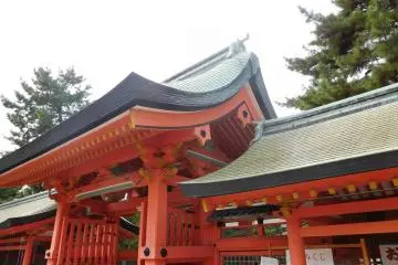 The unique sloped roofs