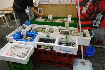 Abundance of fresh fish