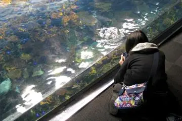 Almost everyone takes photos