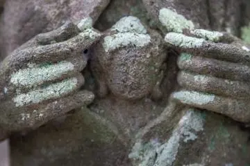 ...or an Alien?