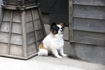 Taking a rest