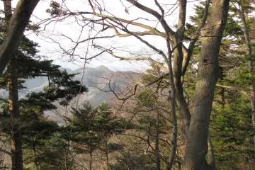 One of the forest side views