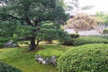 A view of the green gardens