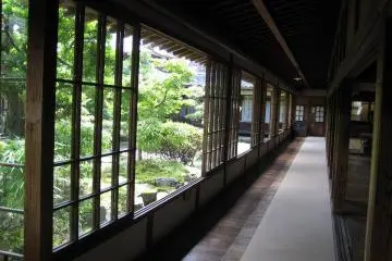 The 30 meters long cedar beam runs through the whole corridor...