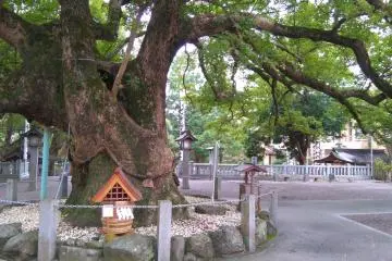 View from behind