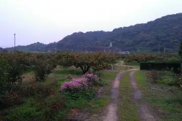 German House from Oasahiko Shrine road 