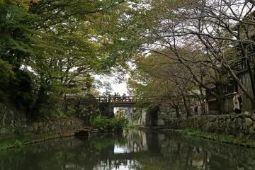View of one of the many bridges you will see from the boat