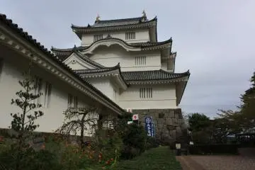 Gallery image