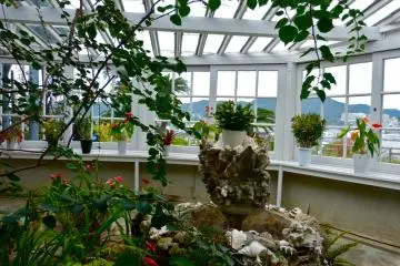 南国の花が咲く温室