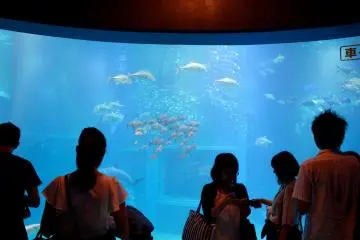 The main tank at the Kaiyukan Aquarium