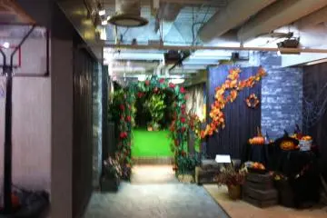 Des décors divers et variés...