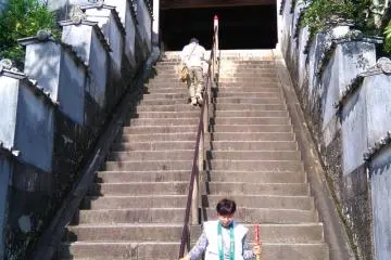 Lucky steps