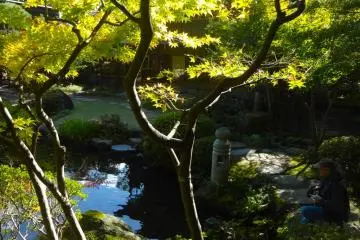 Nicely designed garden with pond