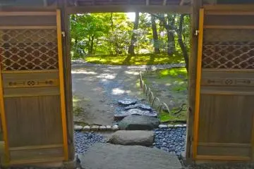 Gallery image