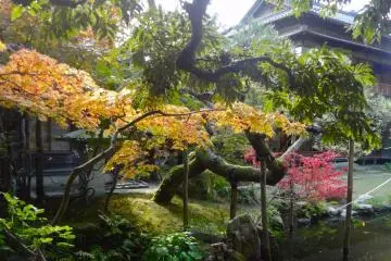 The garden is designed for the full enjoyment of nature
