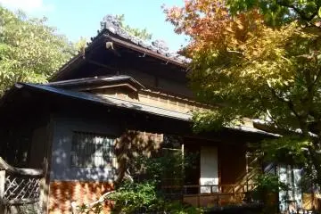 Autumn leaves surround the villa