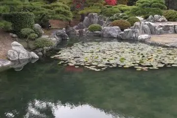 <p>The lily pond in the north garden</p>