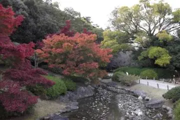 <p>A stream connecting the ponds in the north garden</p>